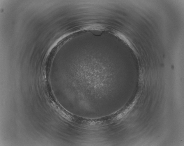 X0000062150923200512091311