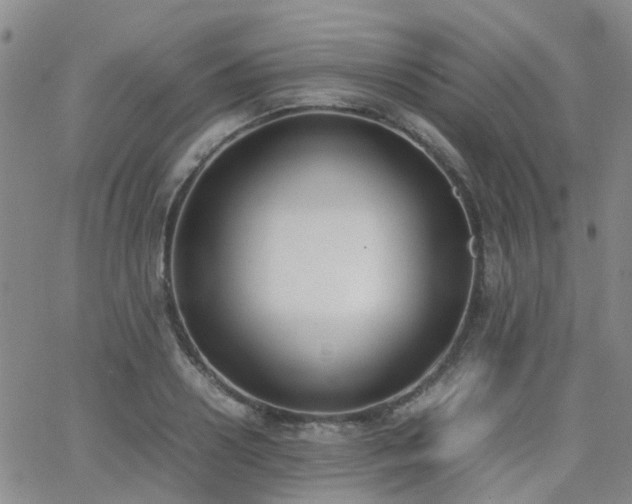 X0000062150938200512091311