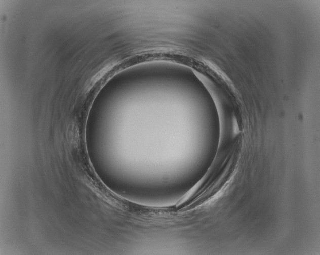 X0000062150969200512091310