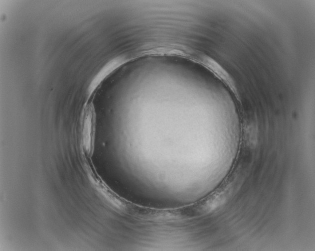 X0000062151002200512091310