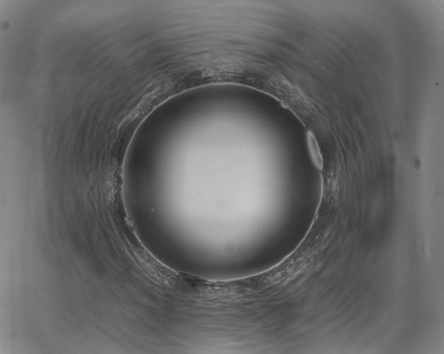 X0000062151012200512091309