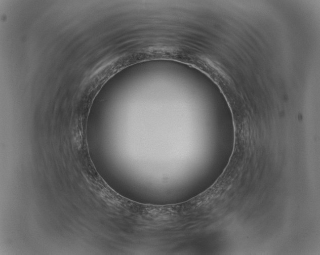 X0000062151015200512091309