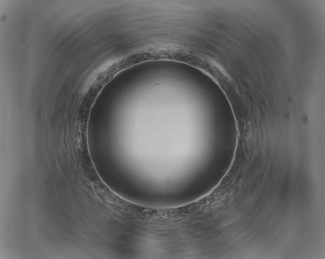 X0000062151016200512091309