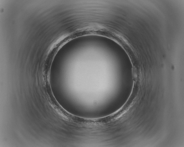 X0000062151018200512091309