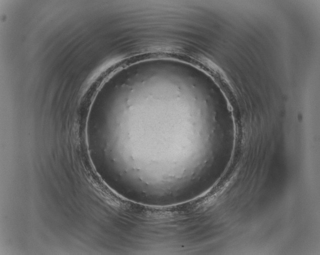 X0000062151019200512091309