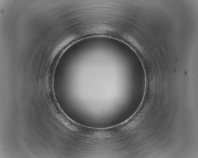 X0000062151026200512091309