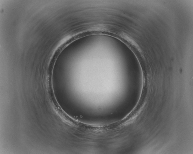 X0000062151029200512091309