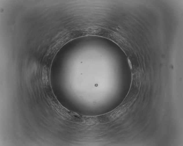 X0000062151058200512091309