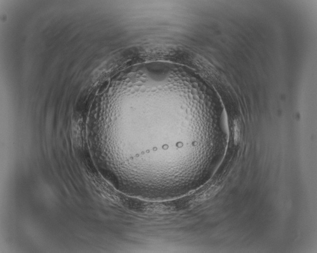 X0000062151059200512091309