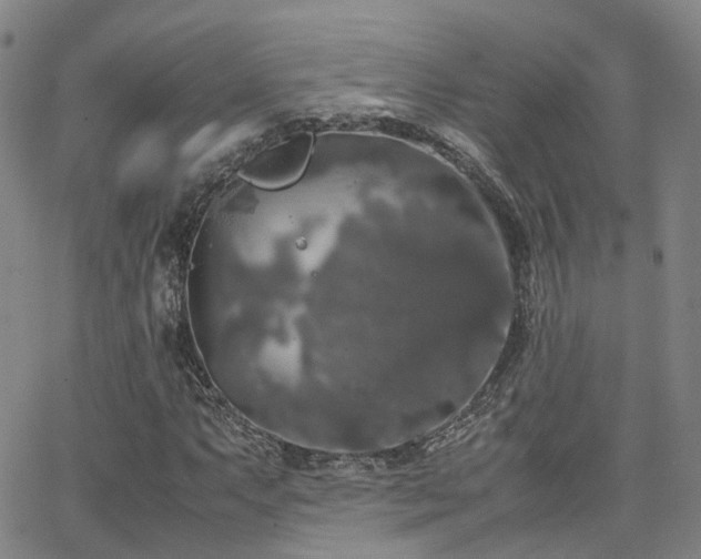 X0000062151063200512091309