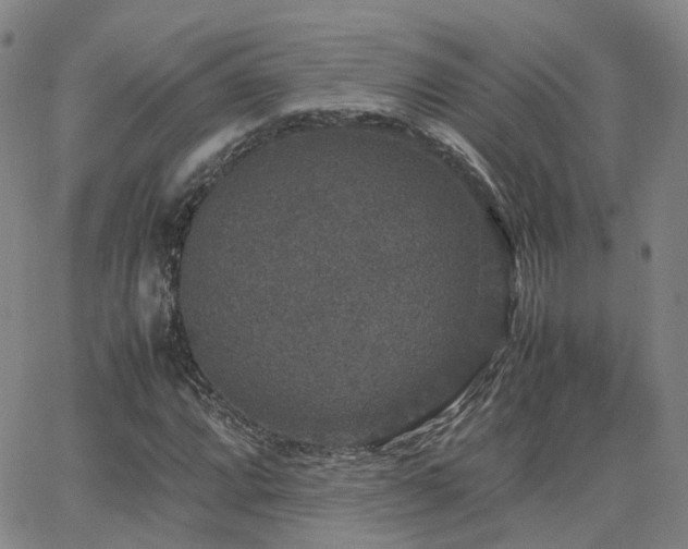 X0000062151064200512091309
