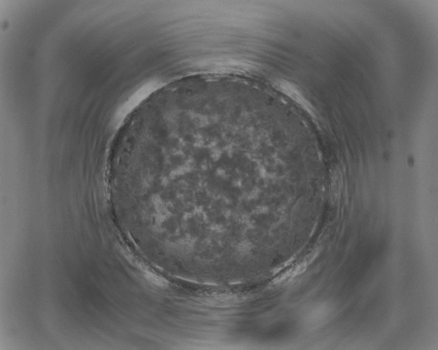 X0000062151071200512091309