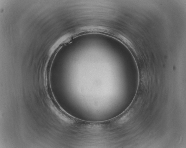 X0000062151082200512091308