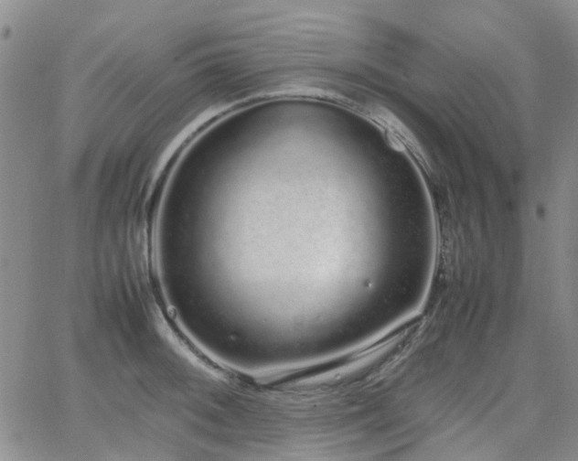 X0000062151092200512091308