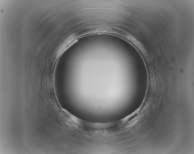 X0000062151097200512091308