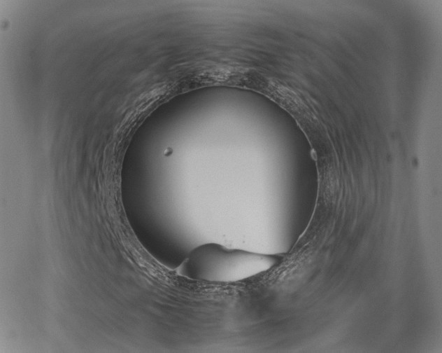 X0000062151105200512091307