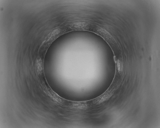 X0000062151107200512091307