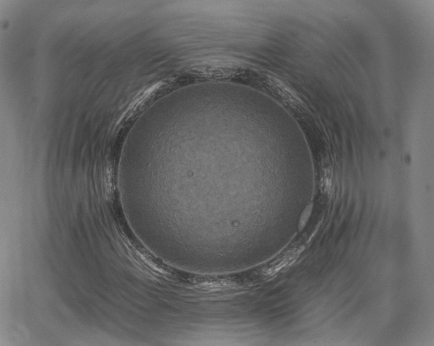 X0000062151108200512091307