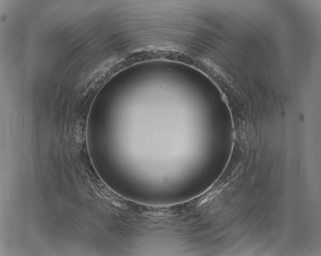 X0000062151110200512091307