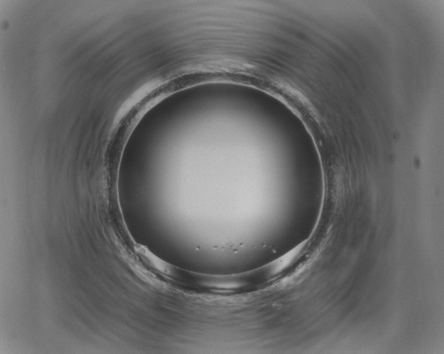 X0000062151114200512091307