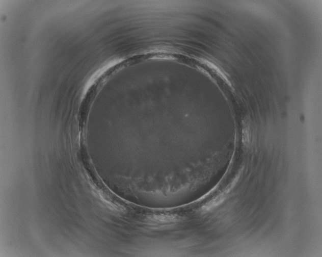 X0000062151117200512091307