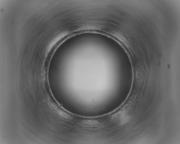 X0000062151119200512091307