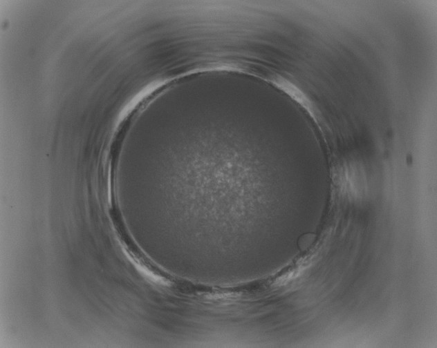 X0000062151127200512091308