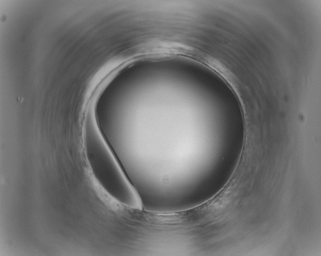 X0000062151152200512091308