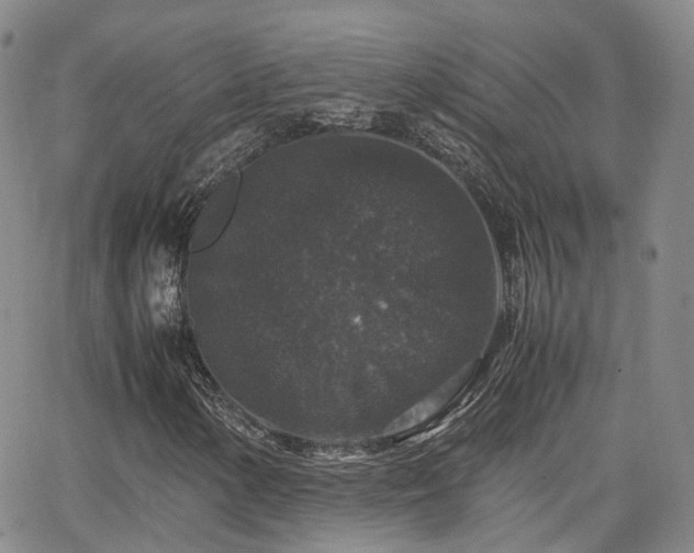 X0000062151154200512091307