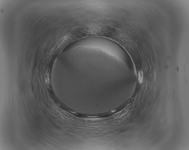 X0000062151155200512091307
