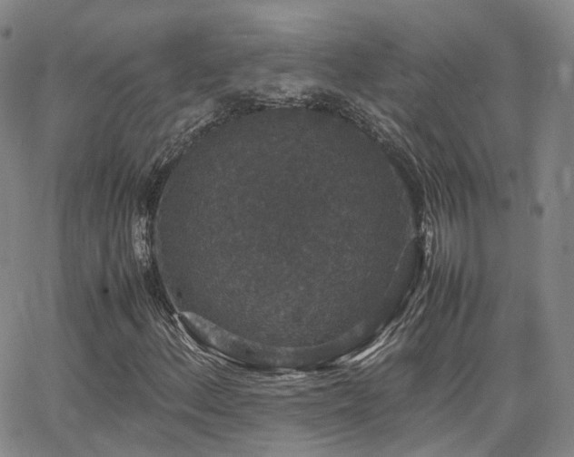 X0000062151156200512091307