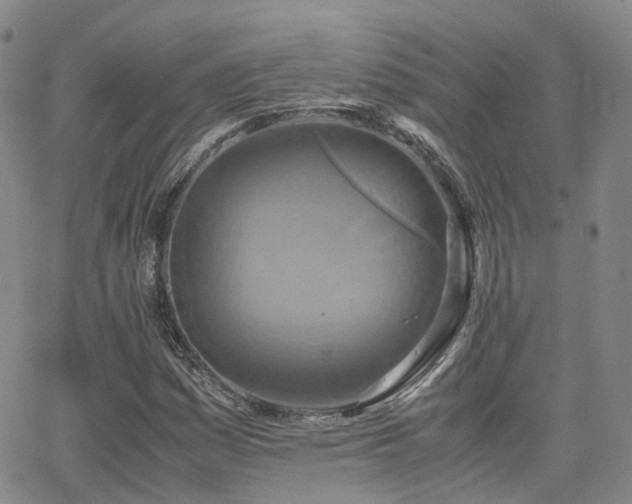 X0000062151161200512091307