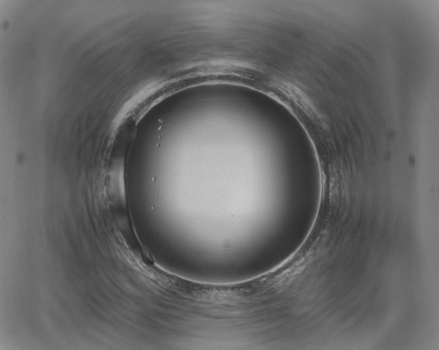X0000062151164200512091307