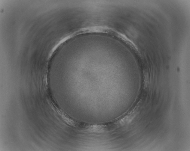 X0000062151166200512091307