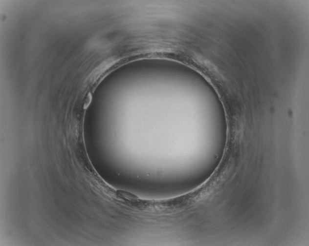 X0000062151169200512091307