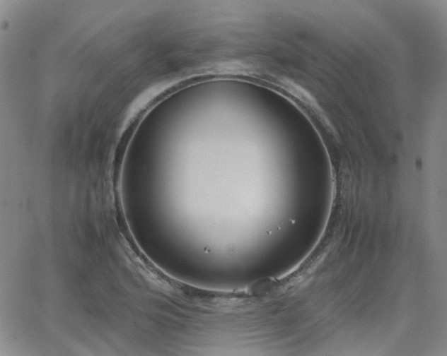 X0000062151176200512091307