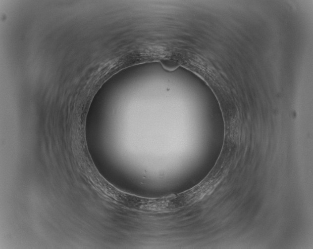 X0000062151201200512091306