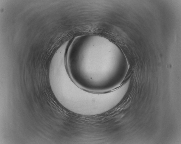 X0000062151202200512091306