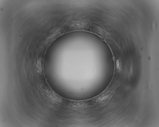 X0000062151203200512091306