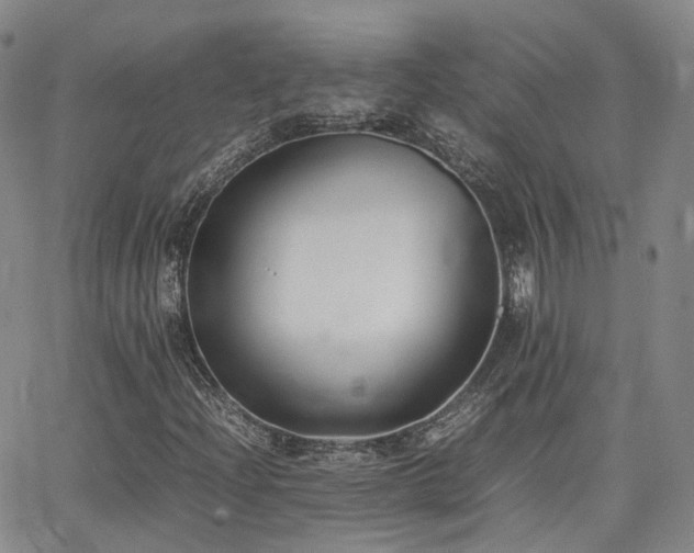X0000062151204200512091306