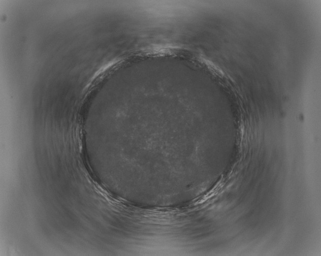 X0000062151206200512091306