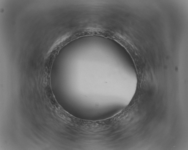 X0000062151207200512091306