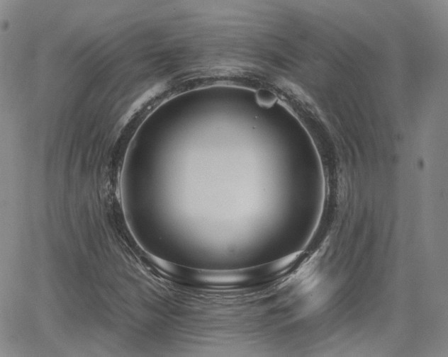 X0000062151210200512091306