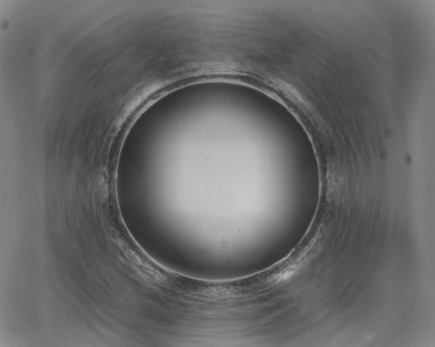 X0000062151212200512091306
