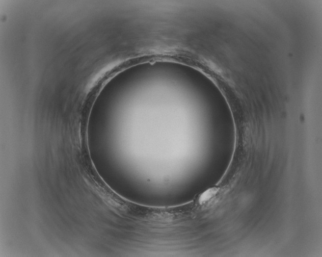 X0000062151214200512091306