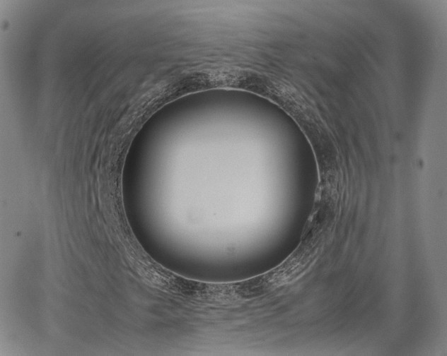 X0000062151249200512091306