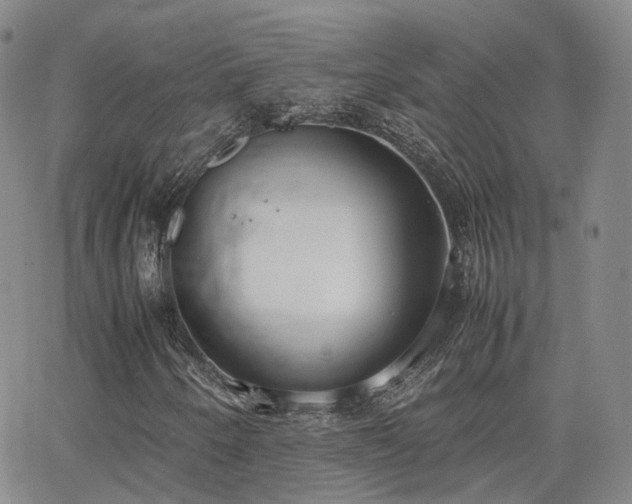 X0000062151250200512091306