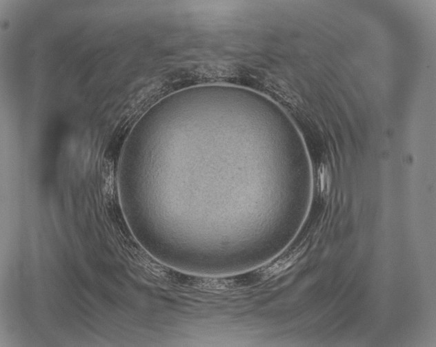 X0000062151251200512091306