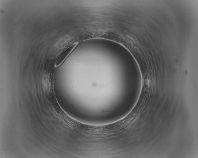 X0000062151252200512091306