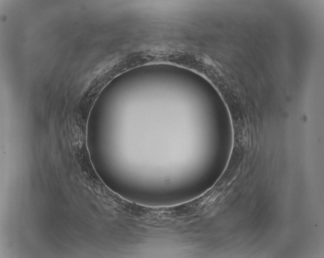 X0000062151253200512091306